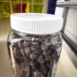Iru (Locust Beans)