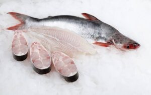 Frozen Catfish cutlet