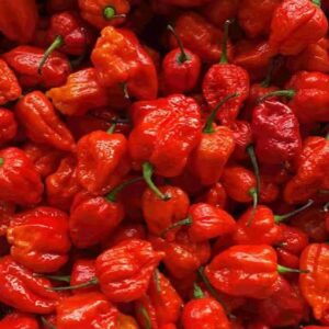 Habanero Chilli Pepper